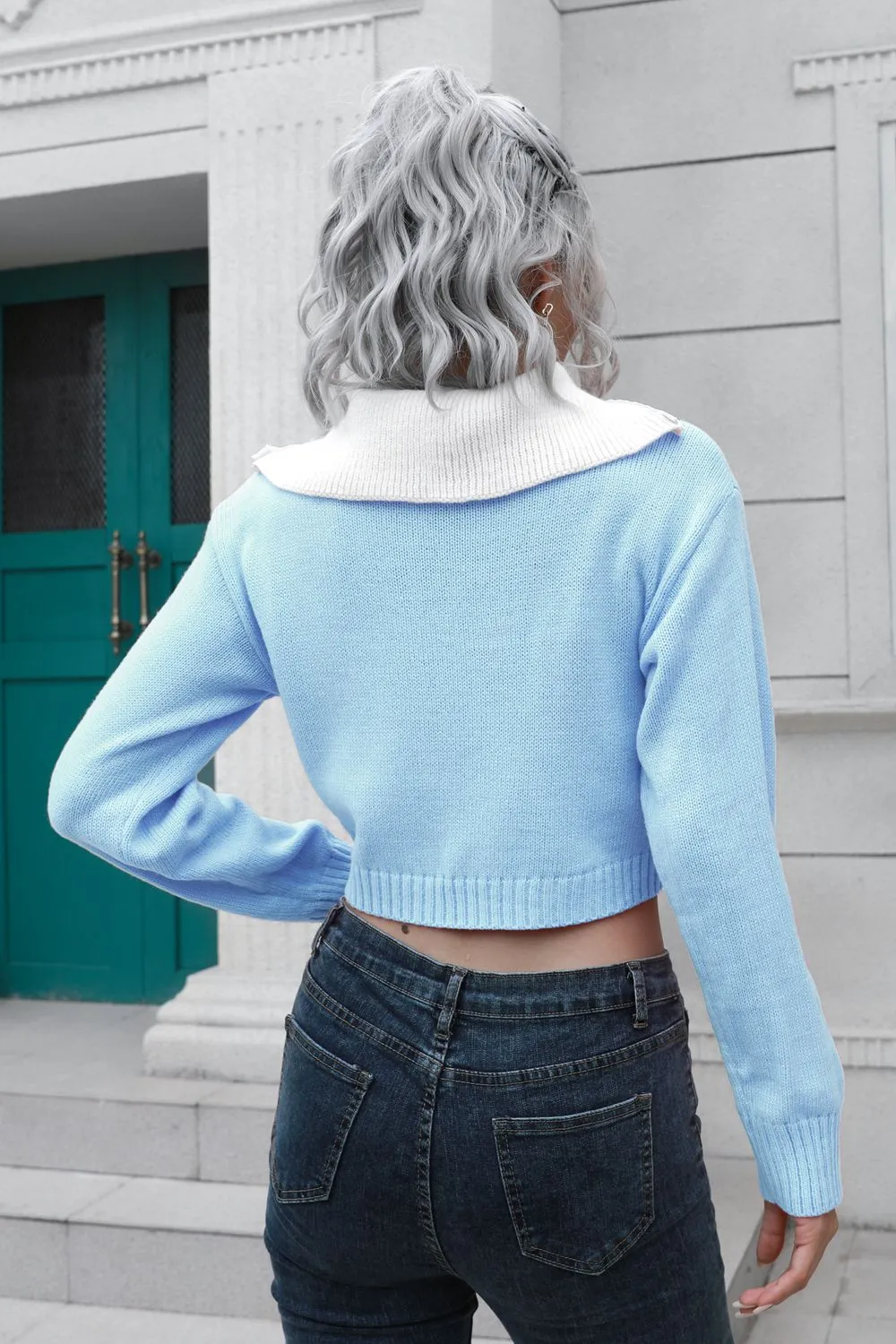 Contrast Collared Cropped Sweater